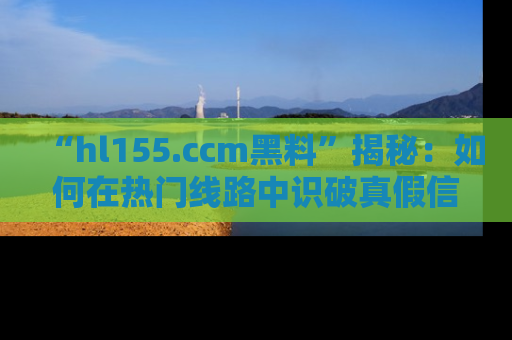 “hl155.ccm黑料”揭秘：如何在热门线路中识破真假信息