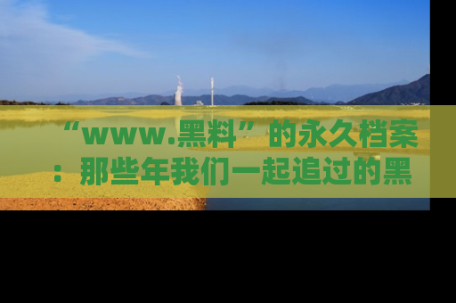“www.黑料”的永久档案：那些年我们一起追过的黑料真相