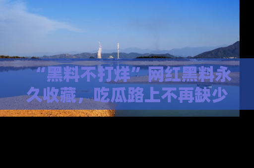 “黑料不打烊”网红黑料永久收藏，吃瓜路上不再缺少惊喜与乐趣