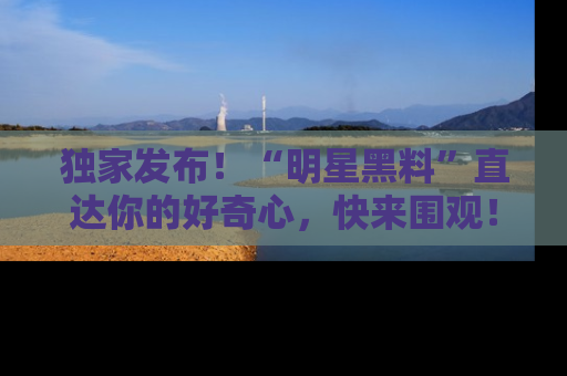 独家发布！“明星黑料”直达你的好奇心，快来围观！
