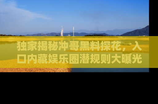 独家揭秘冲哥黑料探花，入口内藏娱乐圈潜规则大曝光