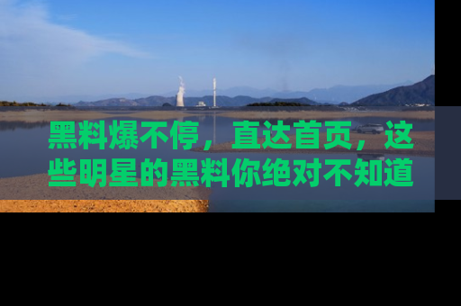 黑料爆不停，直达首页，这些明星的黑料你绝对不知道！