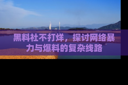 黑料社不打烊，探讨网络暴力与爆料的复杂线路