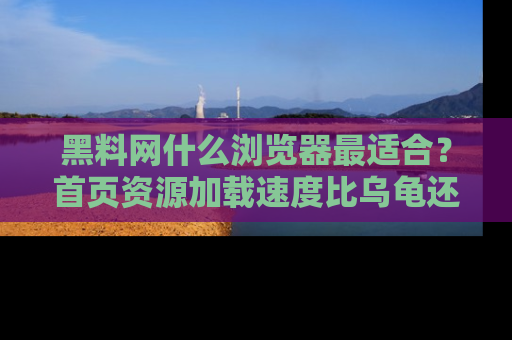 黑料网什么浏览器最适合？首页资源加载速度比乌龟还慢的体验真心吐槽！