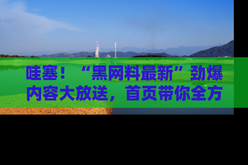 哇塞！“黑网料最新”劲爆内容大放送，首页带你全方位了解哦，小可爱们