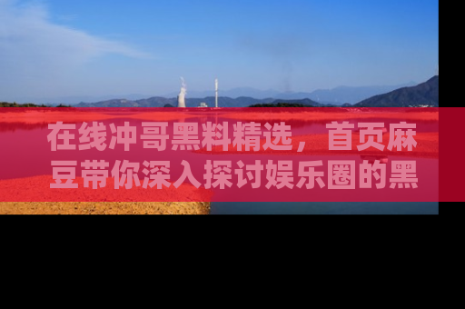 在线冲哥黑料精选，首页麻豆带你深入探讨娱乐圈的黑暗面