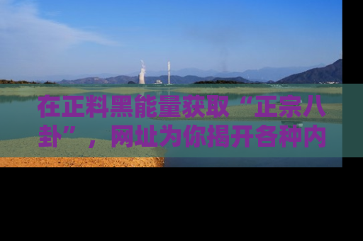 在正料黑能量获取“正宗八卦”,网址为你揭开各种内幕故事!