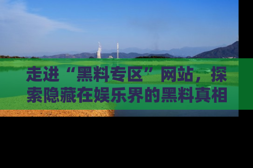 走进“黑料专区”网站,探索隐藏在娱乐界的黑料真相