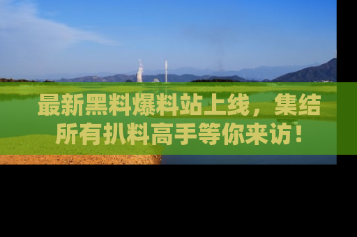 最新黑料爆料站上线，集结所有扒料高手等你来访！